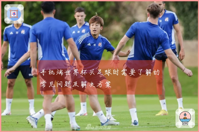手机端世界杯买足球时需要了解的常见问题及解决方案