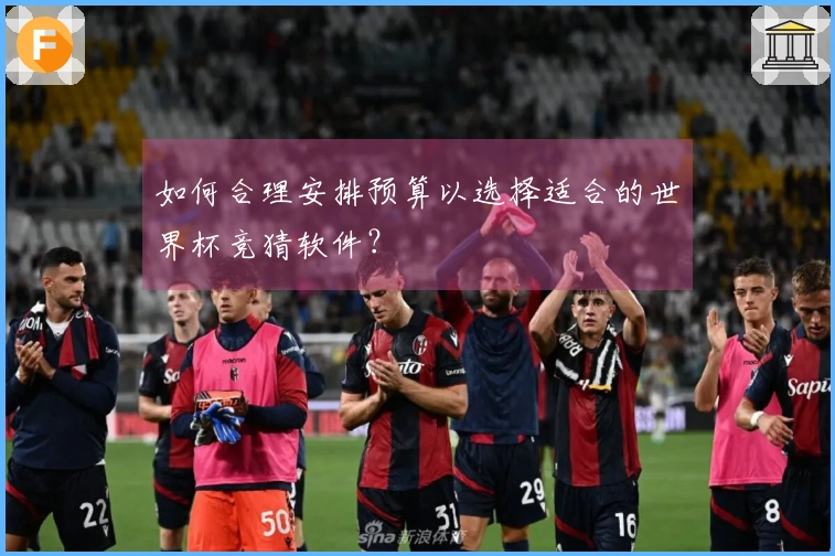 如何合理安排预算以选择适合的世界杯竞猜软件？