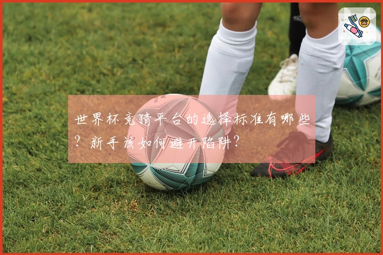 世界杯竞猜平台的选择标准有哪些？新手该如何避开陷阱？