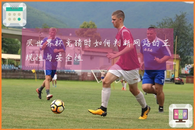 买世界杯竞猜时如何判断网站的正规性与安全性