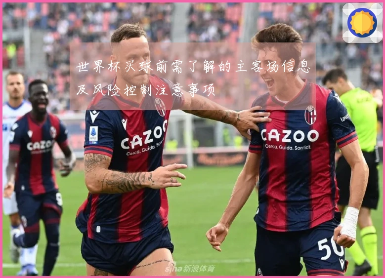 世界杯买球前需了解的主客场信息及风险控制注意事项