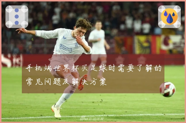 手机端世界杯买足球时需要了解的常见问题及解决方案