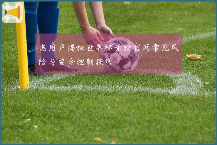 老用户揭秘世界杯竞猜官网常见风险与安全控制技巧