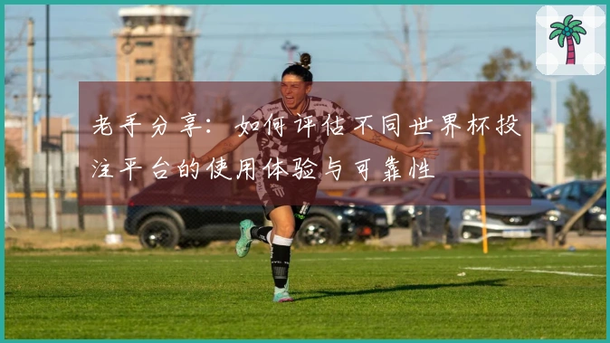 老手分享：如何评估不同世界杯投注平台的使用体验与可靠性