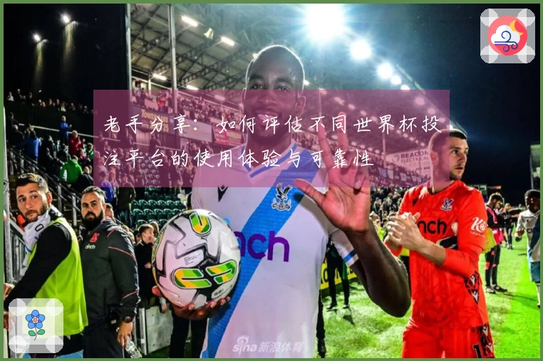 老手分享：如何评估不同世界杯投注平台的使用体验与可靠性