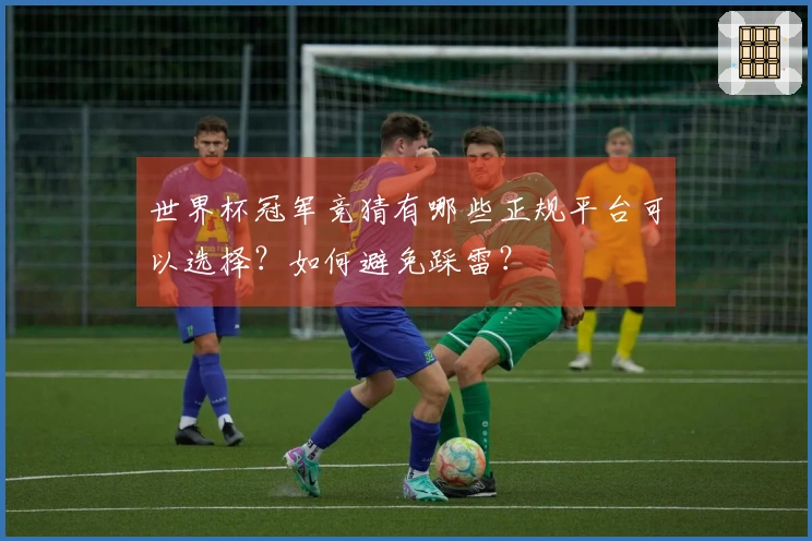 世界杯冠军竞猜有哪些正规平台可以选择？如何避免踩雷？