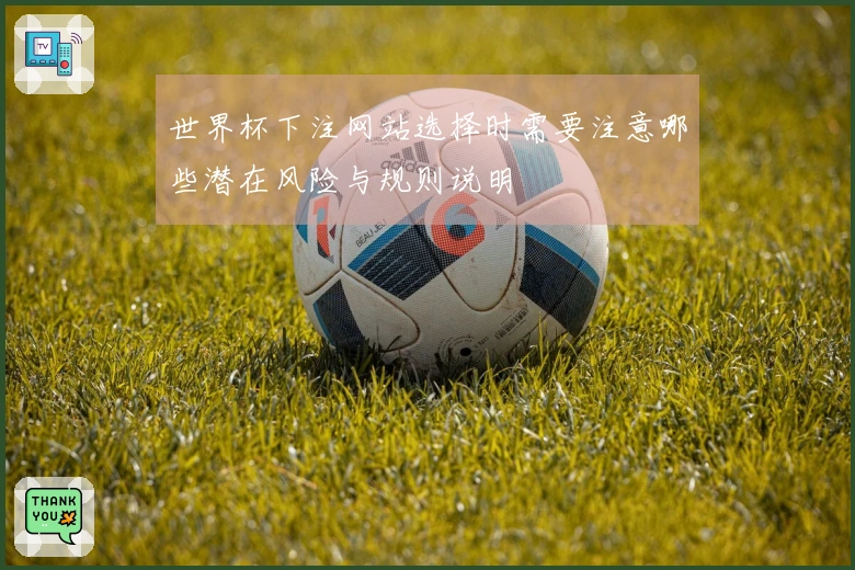 世界杯下注网站选择时需要注意哪些潜在风险与规则说明